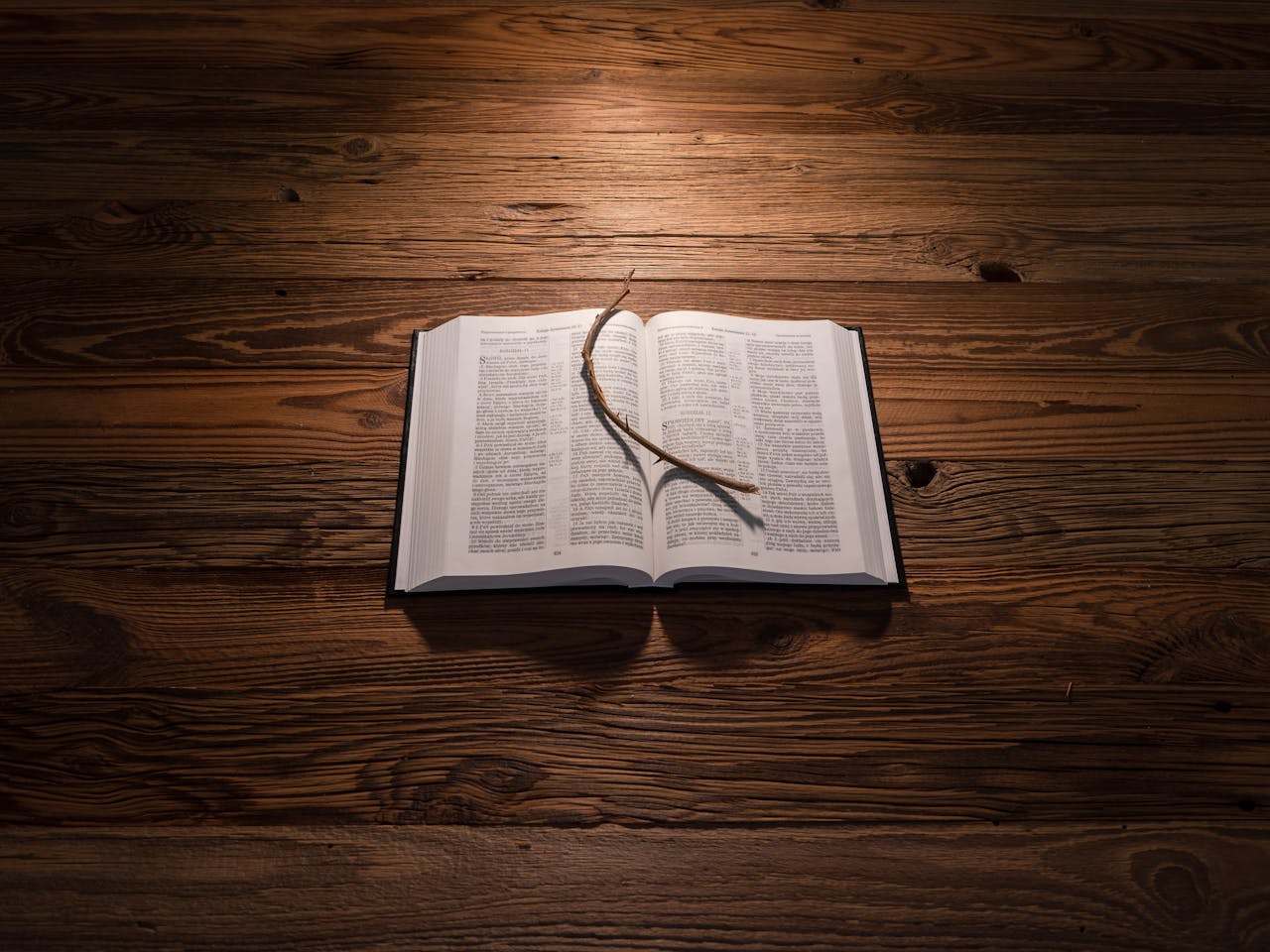 An Opened Bible with a Stick with Thorns Lying on a Wooden Background 