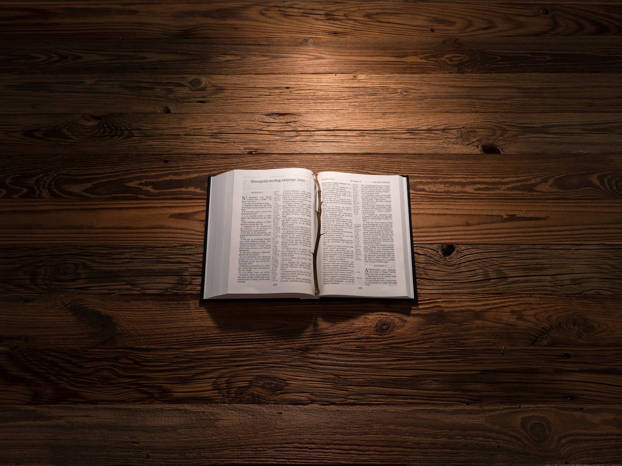 An Opened Bible with a Stick with Thorns Lying on a Wooden Background